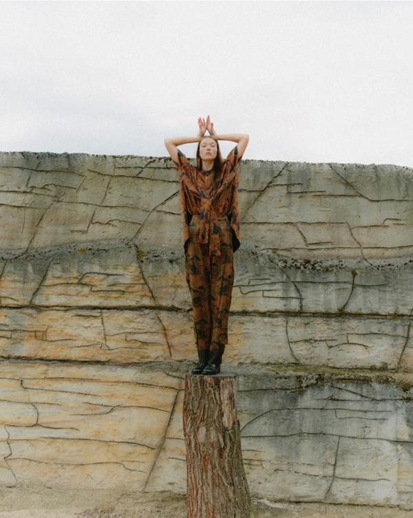 Adelaida Cue Baer - Dino Vogue CZ - artistspool.com