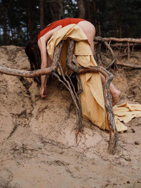 Claudia Fischer - In the Woods - artistspool.com