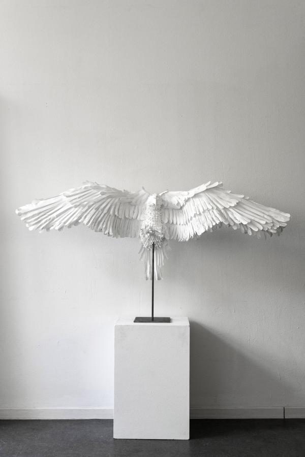 Lara Packheiser - Blank - artistspool.com