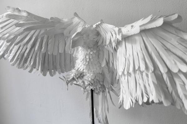 Lara Packheiser - Blank - artistspool.com