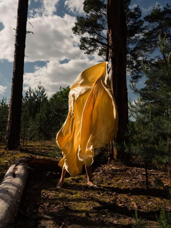 Claudia Fischer - In the Woods - artistspool.com