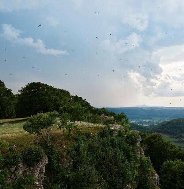 Anna Ploch (MUC) - Zeiss - artistspool.com