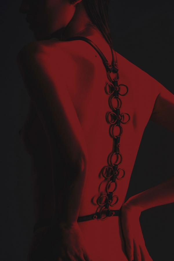 Steffanie Kroll - Bondage - artistspool.com