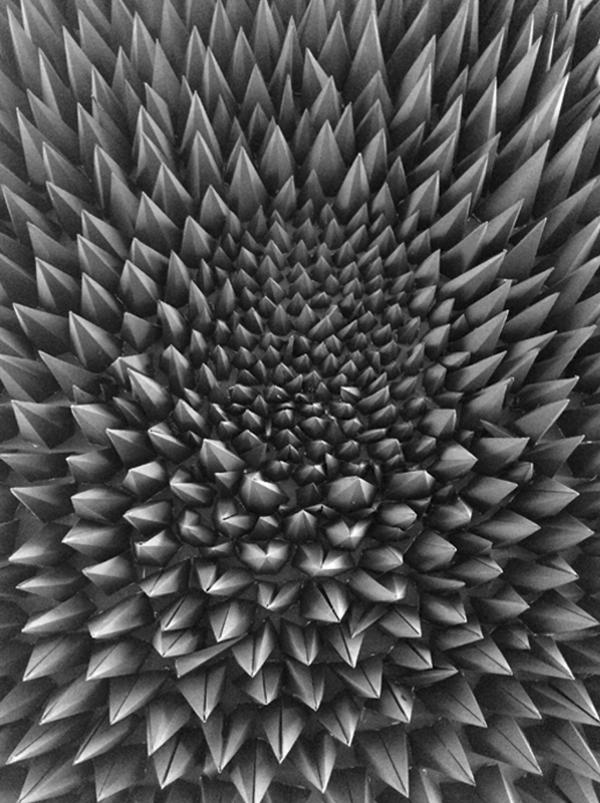 Lara Packheiser - Reared - artistspool.com