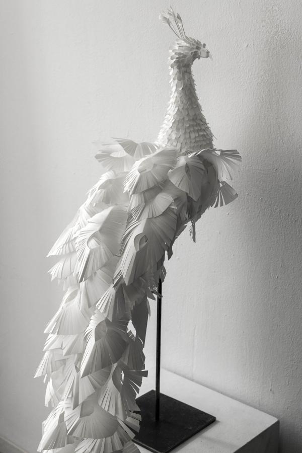 Lara Packheiser - Ego - artistspool.com