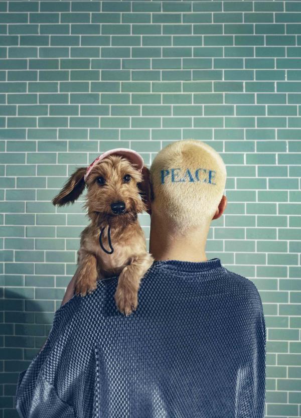 Lara Packheiser - love my dog - artistspool.com