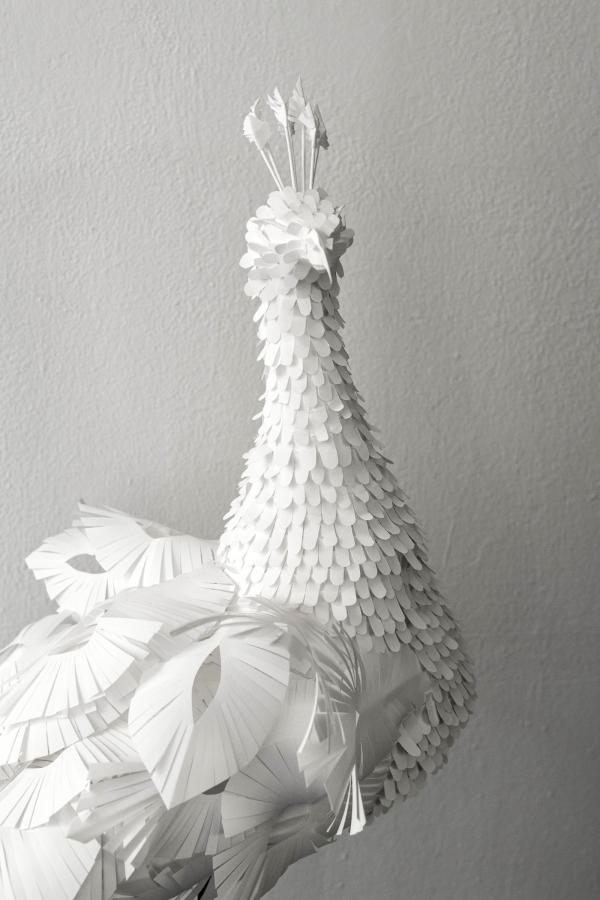 Lara Packheiser - Ego - artistspool.com