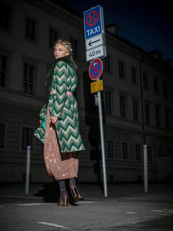 Jacqueline Abrahams - Rosenheimerin Nachtschwärmer - artistspool.com