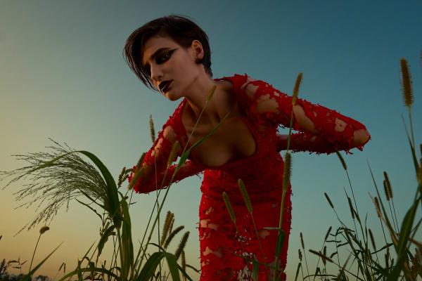 Sophia Langenecker - Eternal Summer - artistspool.com