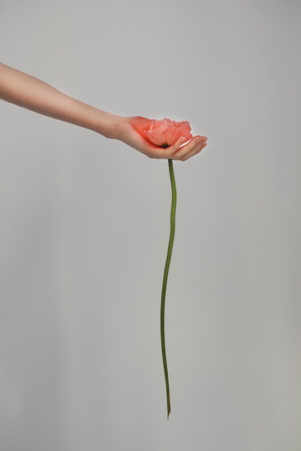 Alexandra Dietl (MUC) - Myself - artistspool.com