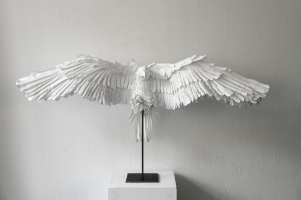 Lara Packheiser - Blank - artistspool.com