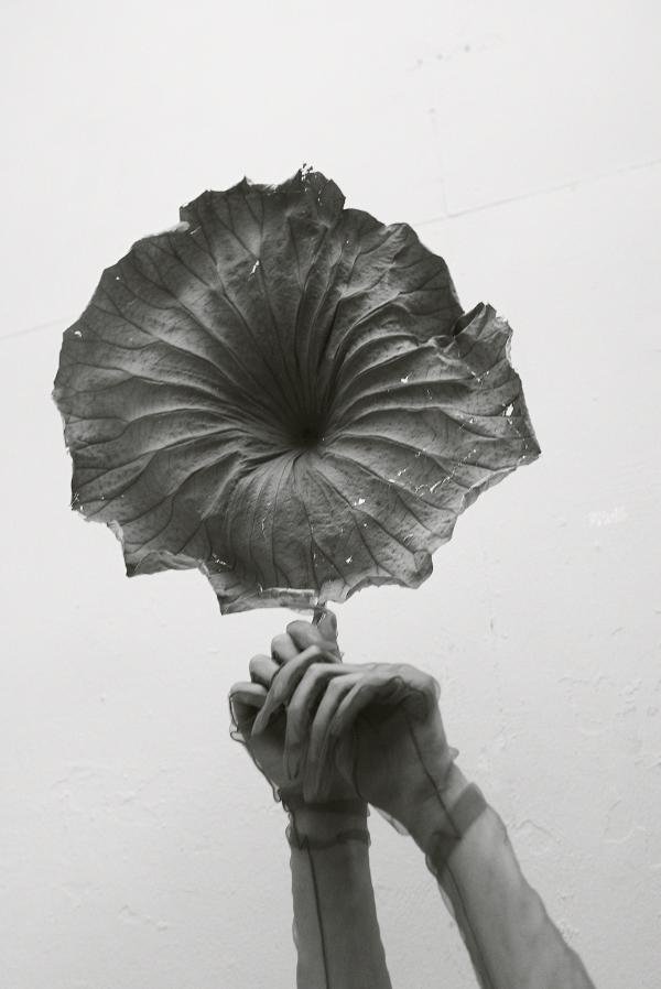 Claudia Fischer - Freddy Engel - artistspool.com