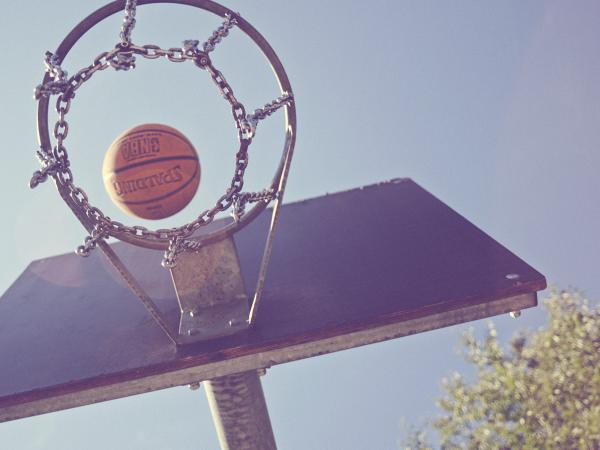 Alexandra Dietl - Basketball - artistspool.com