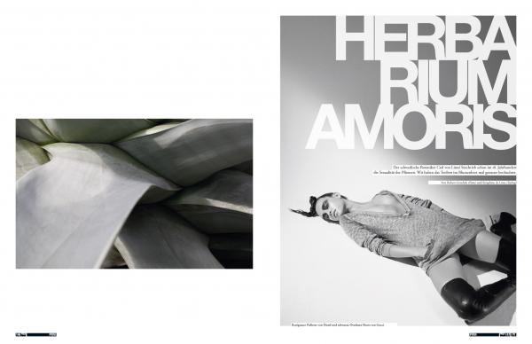Séraphine de Lima - Feld Hommes 4 - artistspool.com