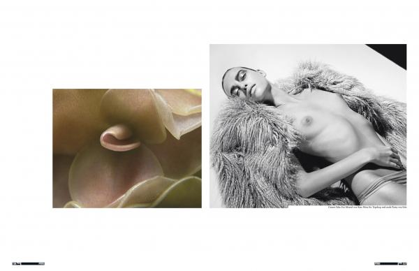 Séraphine de Lima - Feld Hommes 4 - artistspool.com