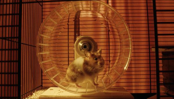 Newcomer: Josephine Winter -  - artistspool.com