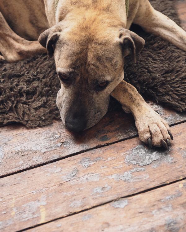 David Newby - Best Fashion  MAG John Armstrong - artistspool.com