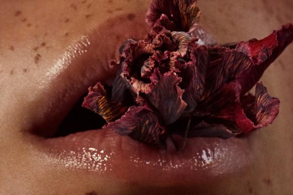 Anna Reynolds - At first Blush for L